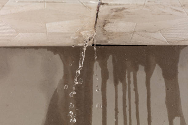 Professional Structural Drying technician working in Thompsons, TX